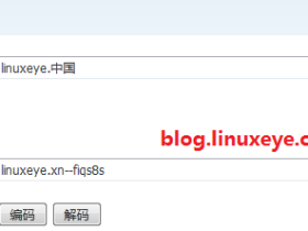 Nginx中文域名配置